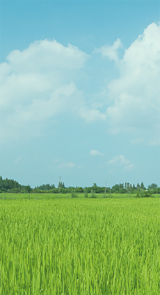 農(nóng)業(yè)產(chǎn)業(yè)