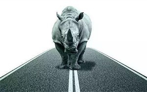 臣通觀點(diǎn)丨小心，中國產(chǎn)業(yè)園區(qū)的“灰犀牛”又來了！