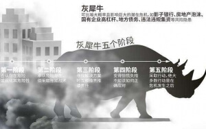 小心，中國(guó)產(chǎn)業(yè)園區(qū)的“灰犀?！庇謥?lái)了！